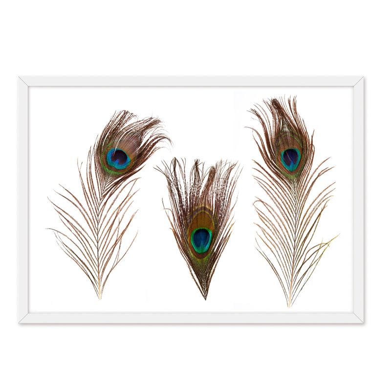 ALCUADRADO - Cuadro Individual  Plumas Real Blanco Alcuadrado