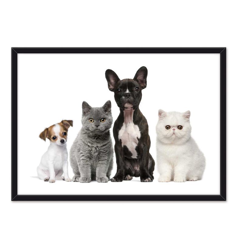ALCUADRADO - Cuadro  Individual Dog And Cat Negro Alcuadrado