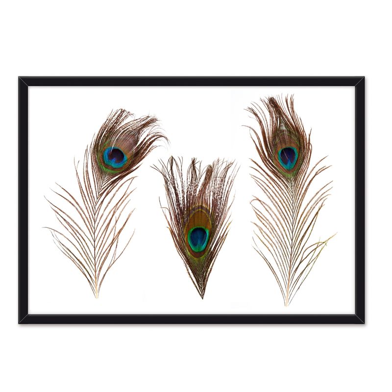 ALCUADRADO - Cuadro Individual  Plumas Real Negro Alcuadrado