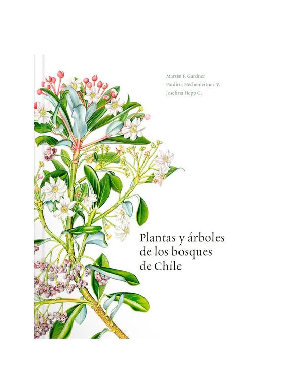 Plantas y arboles de los bosques de Chile