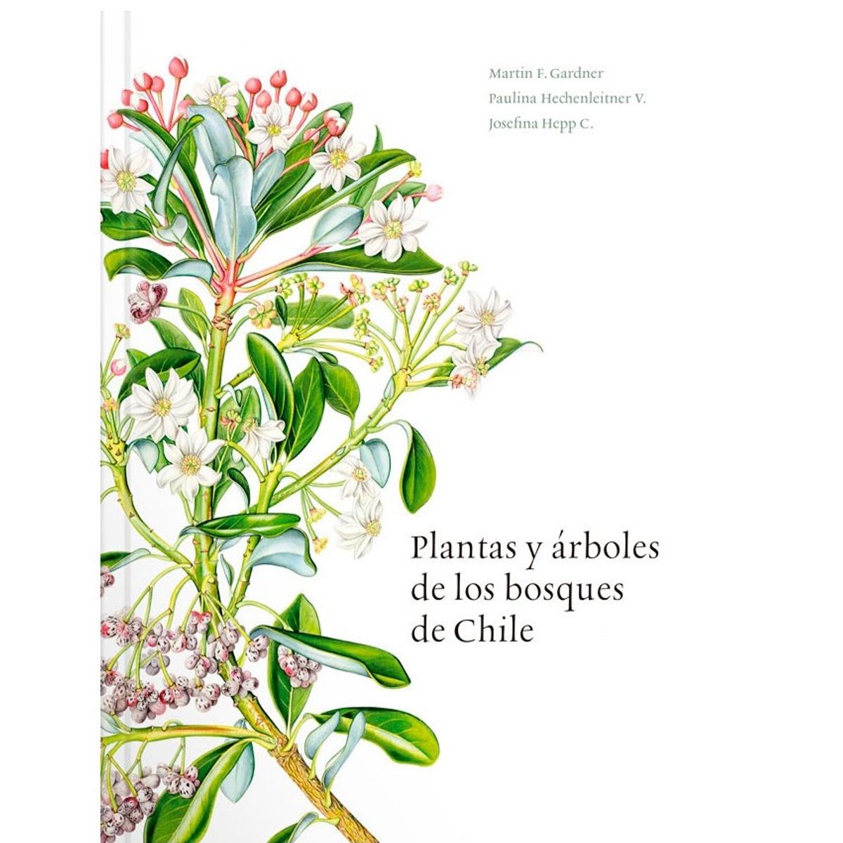 EDITORIAL CONTRAPUNTO - Plantas y árboles de los bosques de Chile