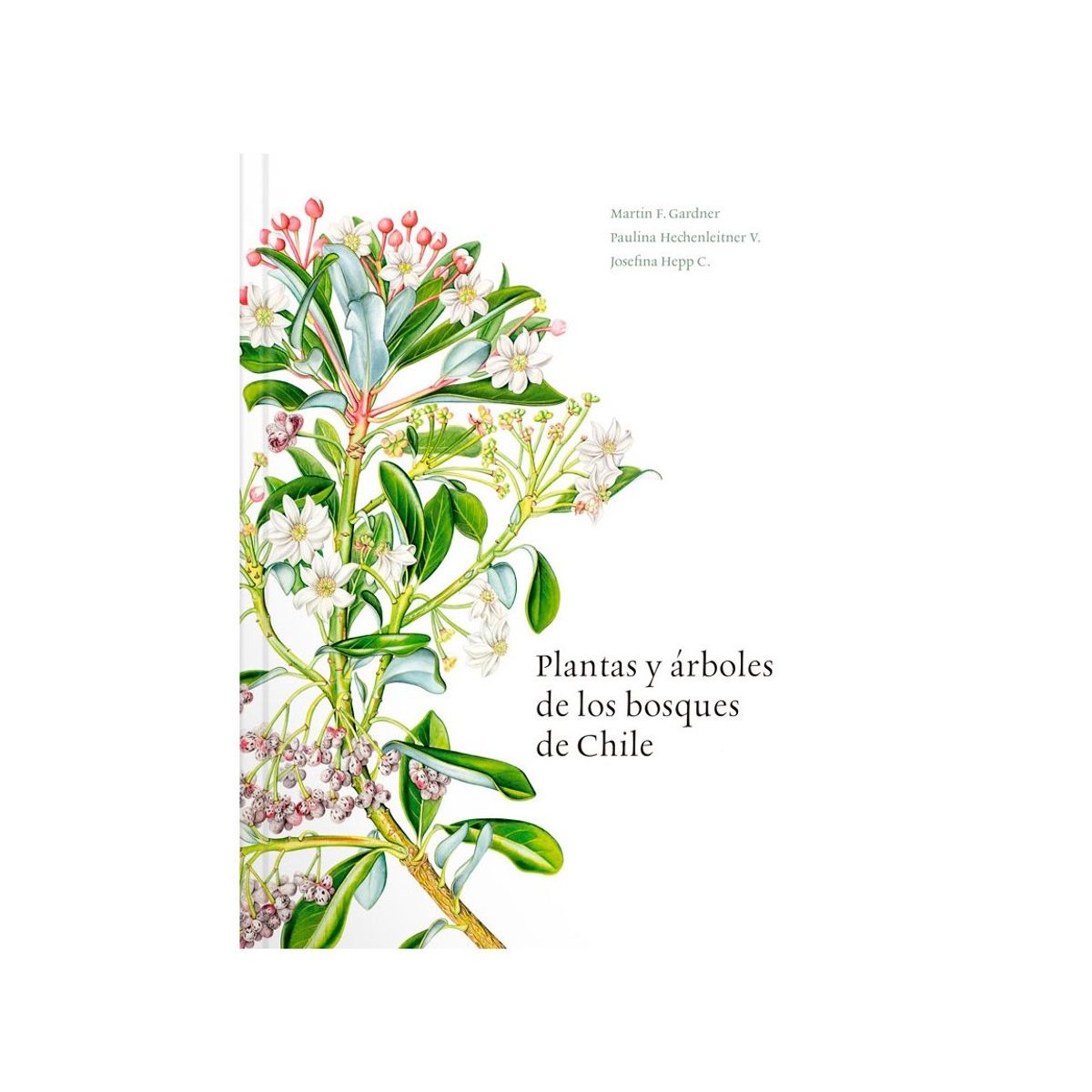 EDITORIAL CONTRAPUNTO - Plantas y árboles de los bosques de Chile