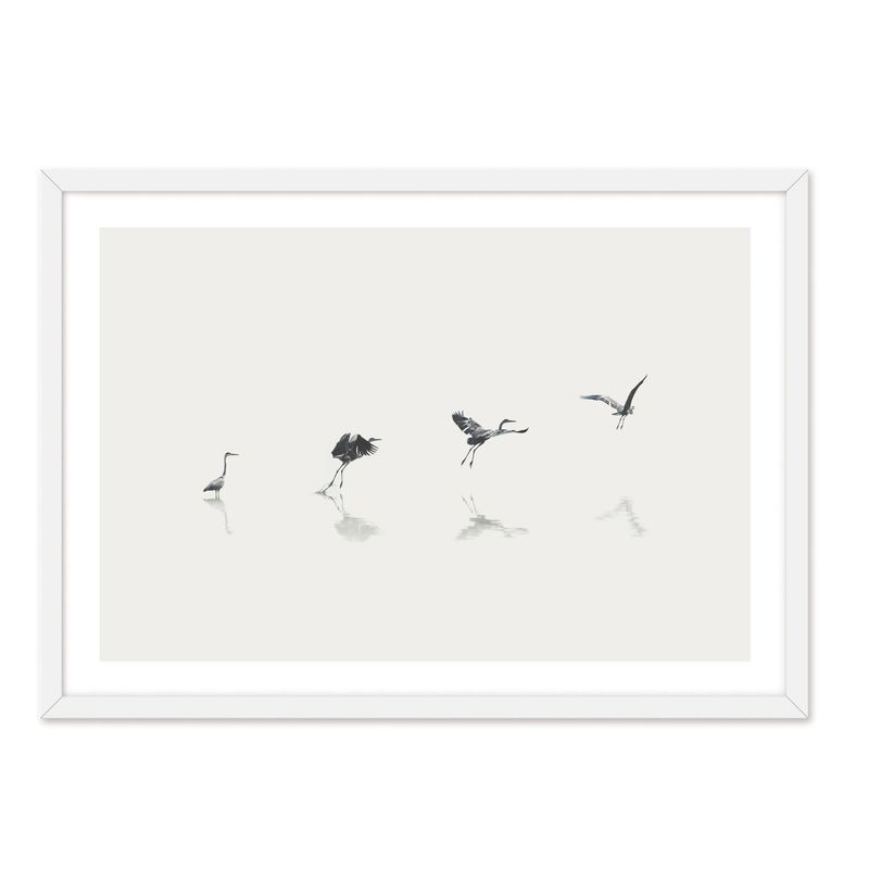 ALCUADRADO - Cuadro Individual Aves En La Playa Blanco Alcuadrado