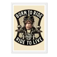 ALCUADRADO - Cuadro individual Monkey Moto Blanco