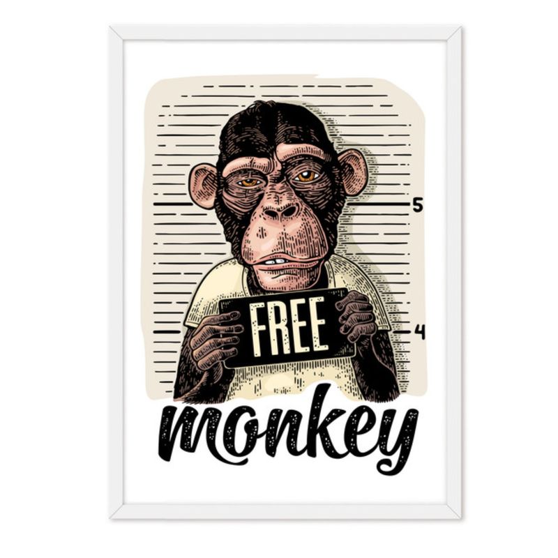 ALCUADRADO - Cuadro individual Monkey Free Blanco Alcuadrado