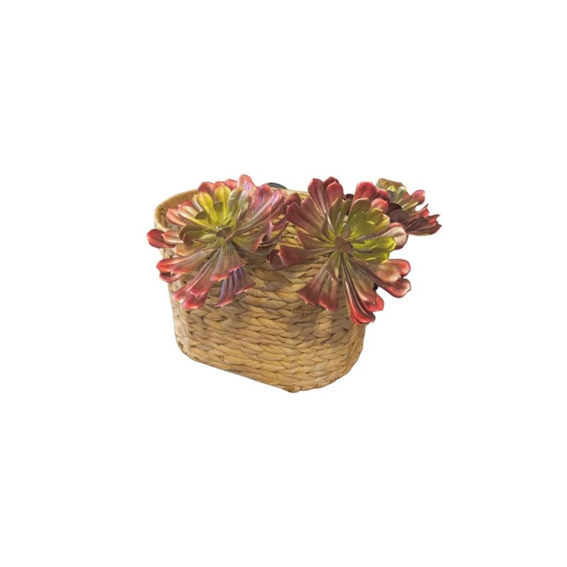 ML DESIGN - Canasto fibra trenzas SM