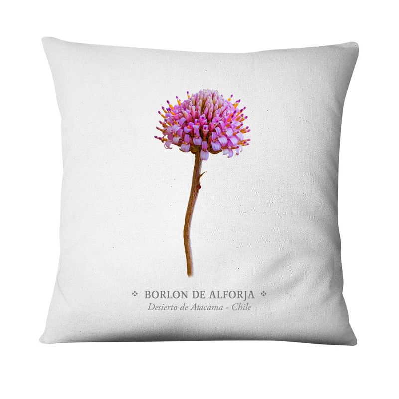 ANDES1 - Funda De Cojín De Borlón De Alforja