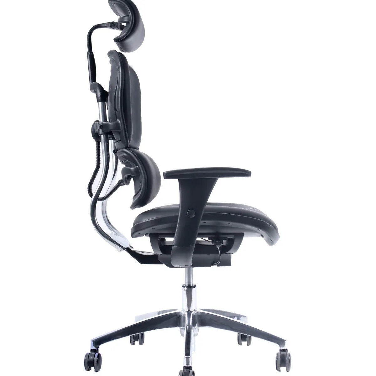 SANSSOUCI - Silla ejecutiva escritorio Ergohuman fit Cuero