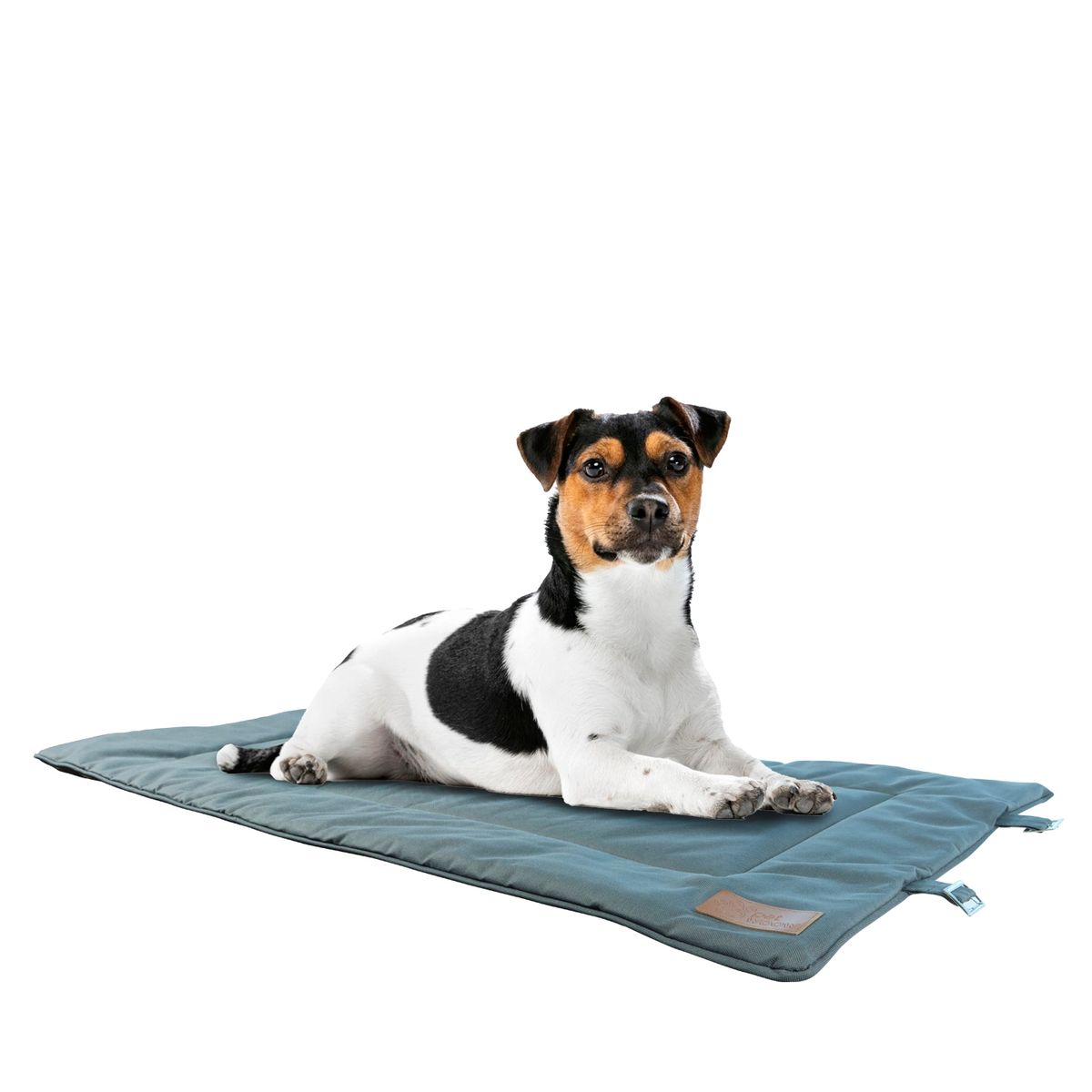 PETWOOW - Cama para perro mascota toby enrrollable 112x67 cm petwoow