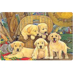 UNIVERSAL - Puzzle 1000 Piezas Rompecabeza