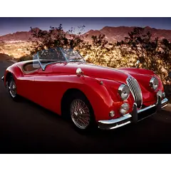 UNIVERSAL - Puzzle 1000 Piezas Rompecabeza