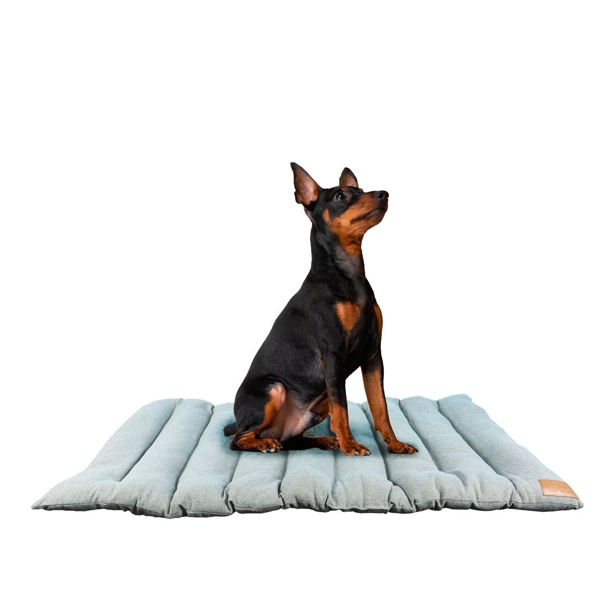 PETWOOW - Cama para perro mascota roller maya 112x67 cm