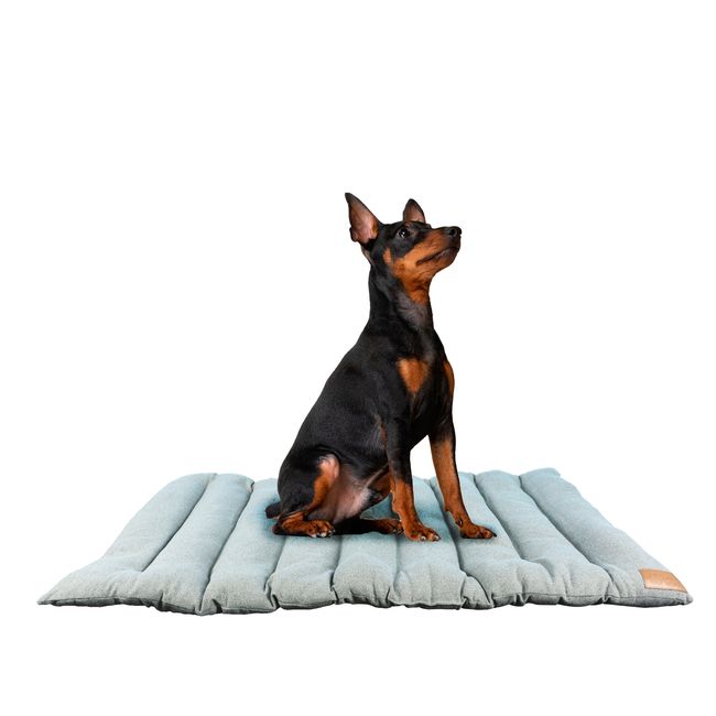 PETWOOW - Cama para perro mascota roller maya 112x67 cm