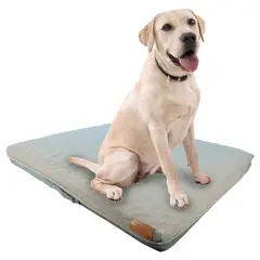 PETWOOW - Cama Mascota Maite 100x80x10 cm L
