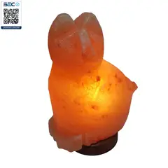 GENERICO - Lámpara de Sal Gato del Himalaya