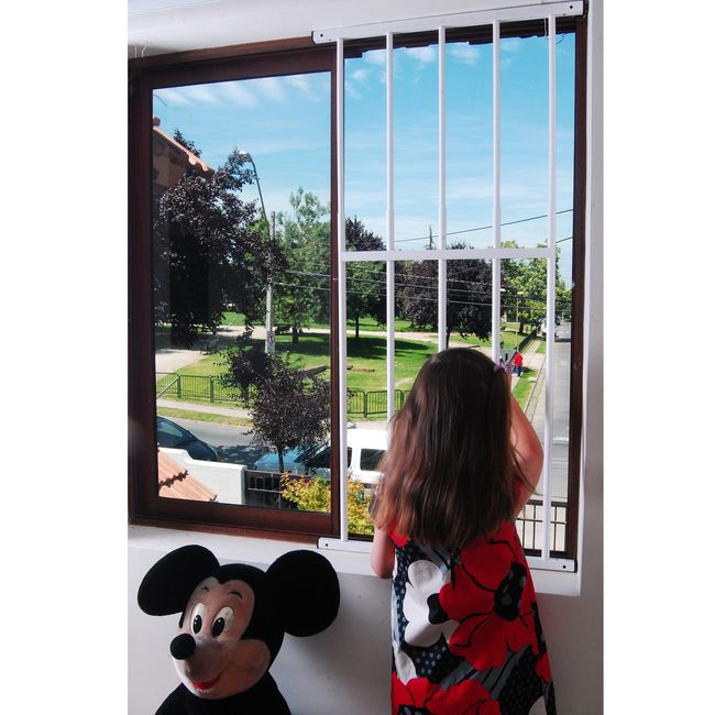 KAS - Reja de Seguridad Ventana Anticaída Interior y extensible
