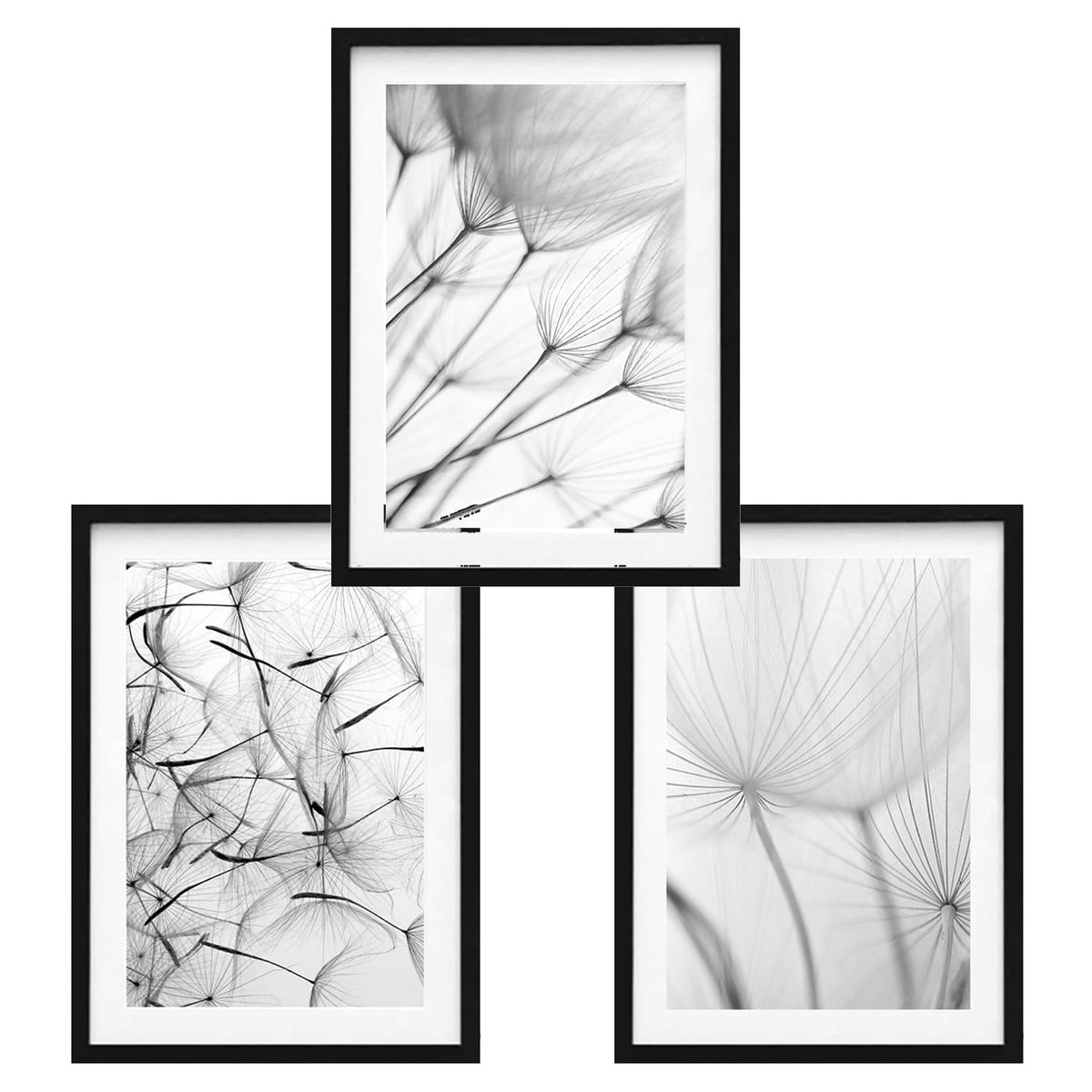 PAPEL ILUSTRADO - Set 3 Dandelion Photography 40x50 cm Marco Negro