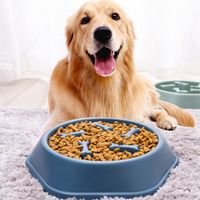 Plato Para Mascotas Anti-Ansiedad Color Al Azar