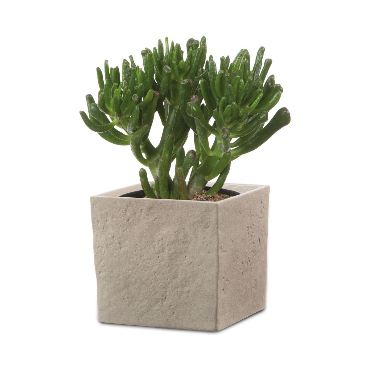 SCHEURICH - Macetero Cerámica 18 cm Café Claro