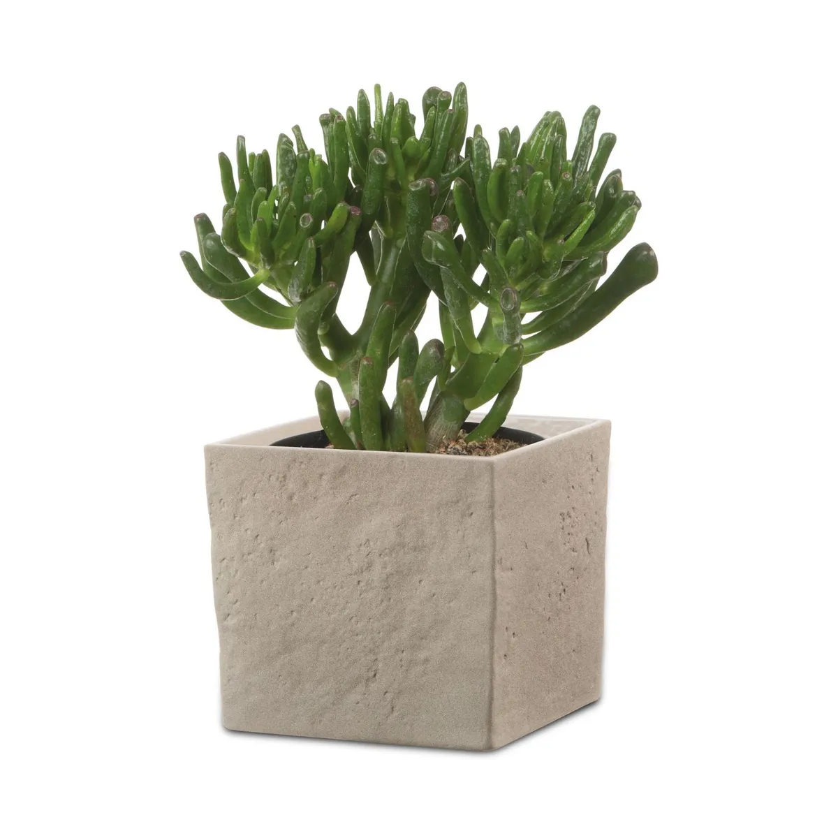 SCHEURICH - Macetero Cerámica 16 cm Café Claro