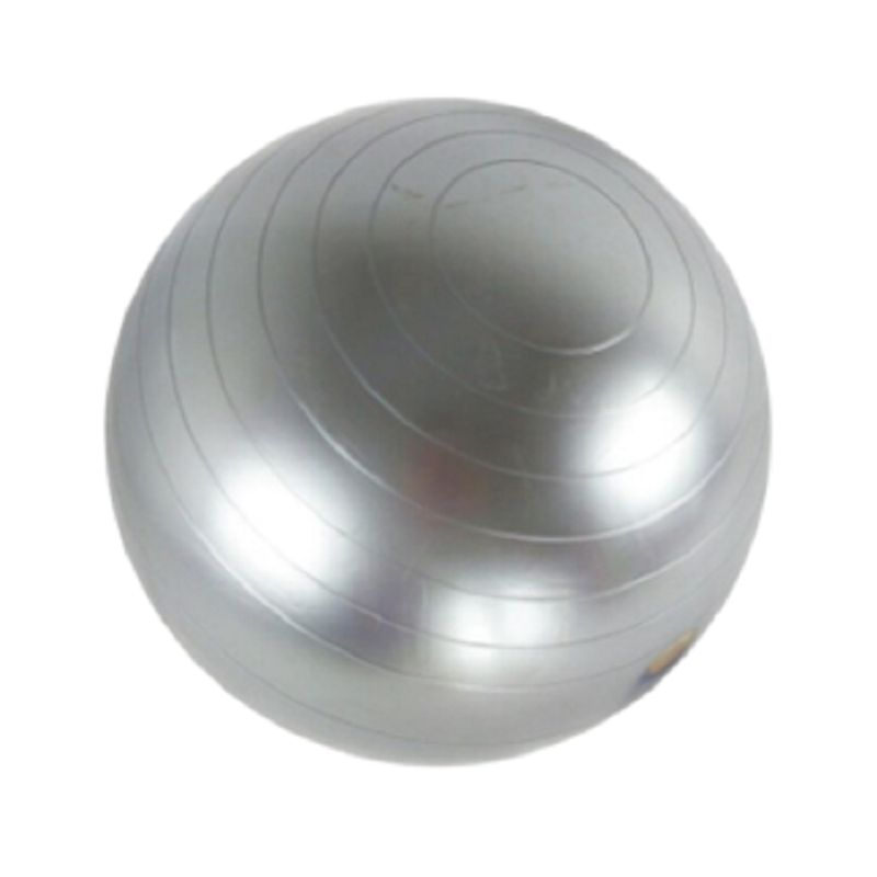 GENERICO - PELOTAS DE PILATES 65 CM GRIS