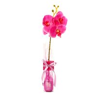Florero adorno de cristal 40 cm Orquídeas fucsia