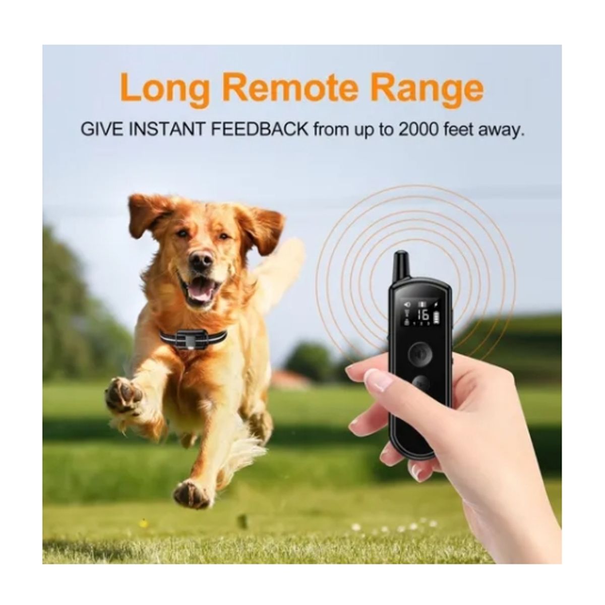 ESHOPANGIE - Collar De Entrenamiento Eléctrico Para Mascotas IPX8