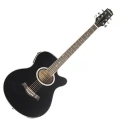 FREEMAN - FRA95SCET BK GUITARRA E/A METAL