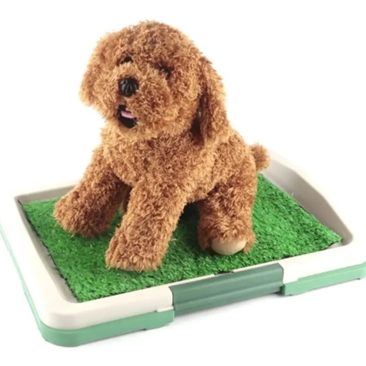 GENERICO - Baño Sanitario Perro Baño Ecologico Para Perros Baño Perro