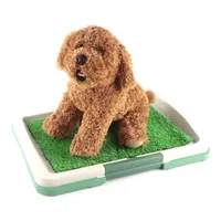 Baño Sanitario Perro Baño Ecologico Para Perros Baño Perro