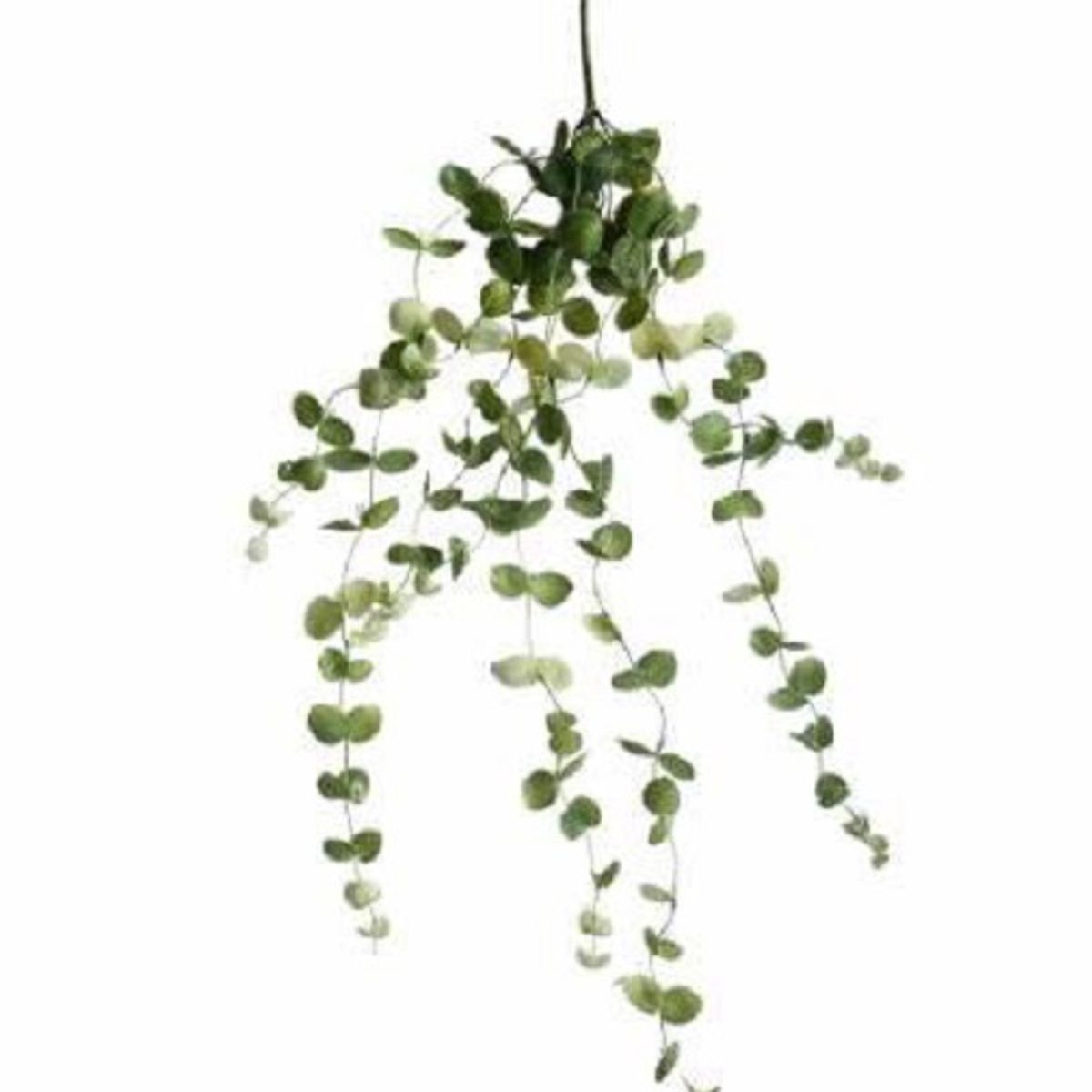 MERCADO CBF - Flores Plantas Artificiales Suculenta Colgante Tipo Flor Enredadera