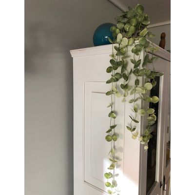 Imagen 2 del producto Flores Plantas Artificiales Suculenta Colgante Tipo Flor Enredadera