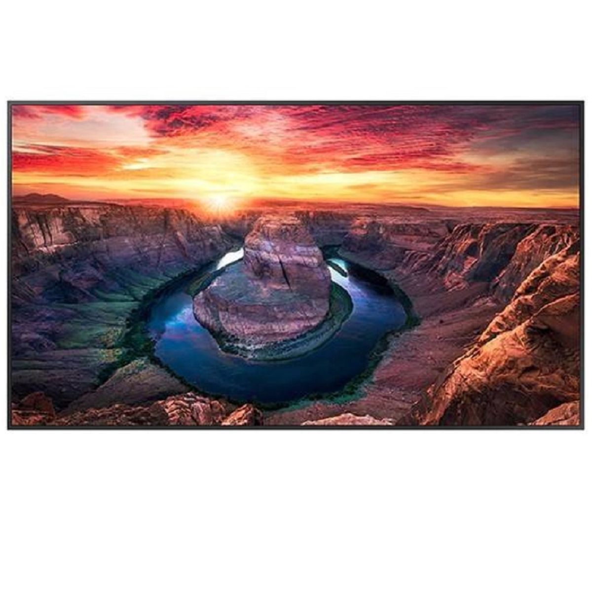 SAMSUNG - Monitor Samsung QM55B 55" 3840 X 2160 HDMI/USB/DP Plano