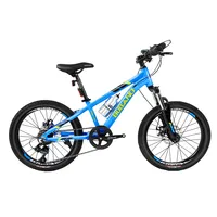 S300 aro 20 aluminio azul amarillo