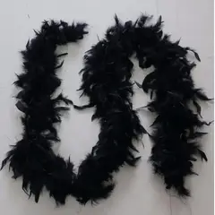 GENERICO - Boa De Plumas 10 Mt