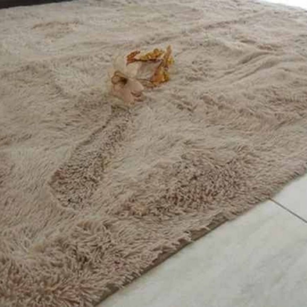GENERICO - Alfombra peluda tipo Shaggy 180cm x 200cm Beige