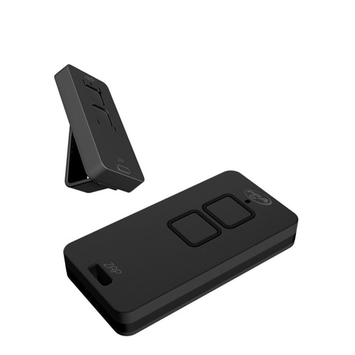 GENERICO - Control Remoto PPA ZAP 2 CANALES