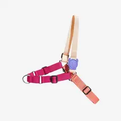 ZEEDOG - ARNES ANTI-TIRON SOFTWALK CINNAMON M