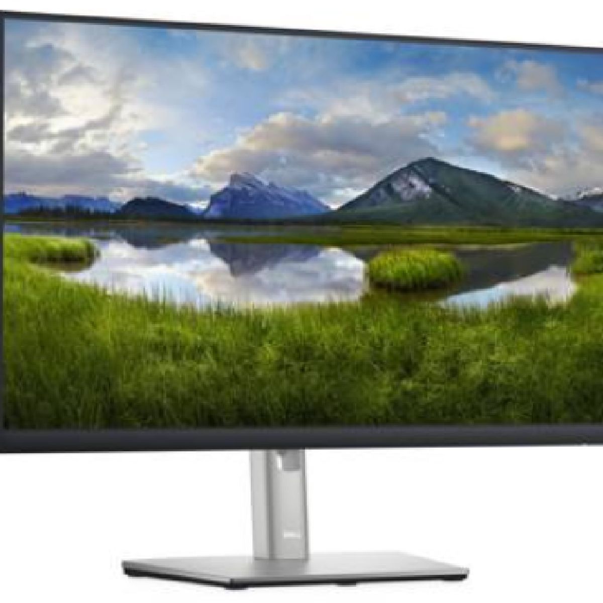 DELL - Monitor Dell P2422h 24" 1920x1080 HDMI/VGA/DP W Plano