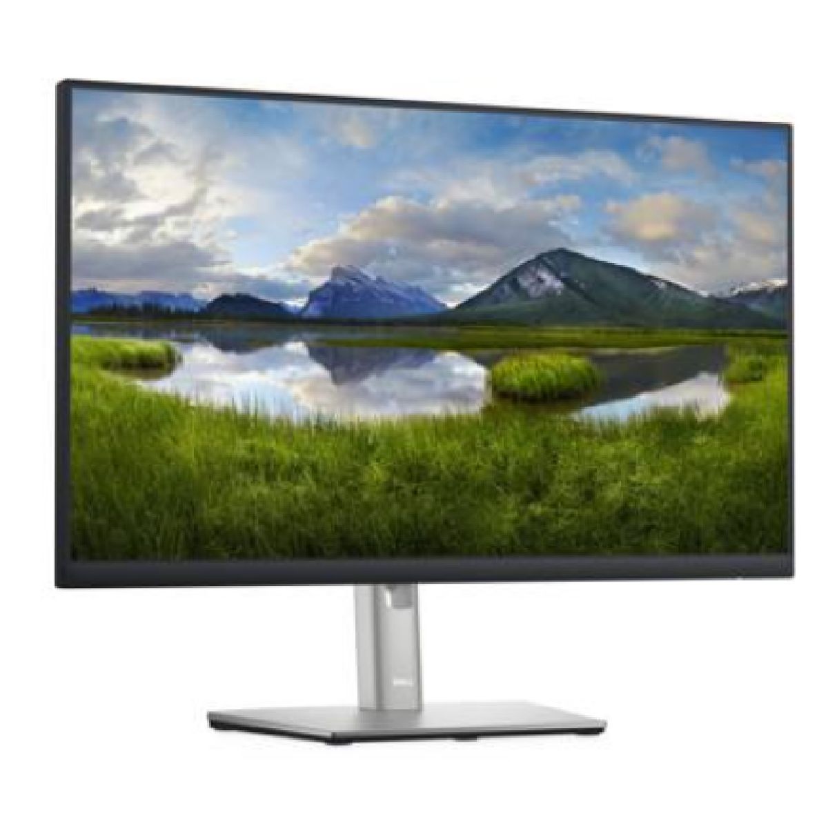 DELL - Monitor Dell P2422h 24" 1920x1080 HDMI/VGA/DP W Plano