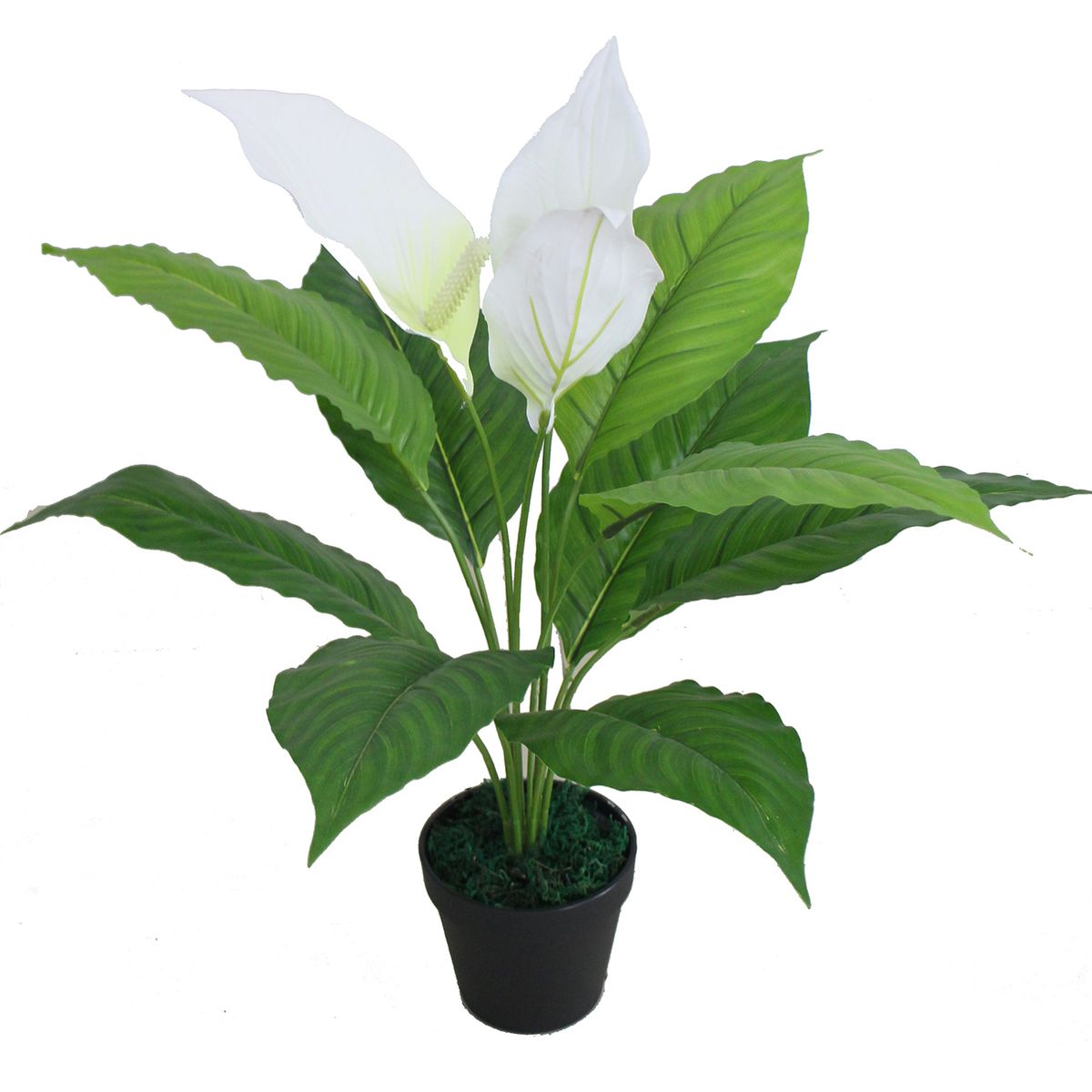 INSPIRACCI - Planta artificial anturio 55 cm