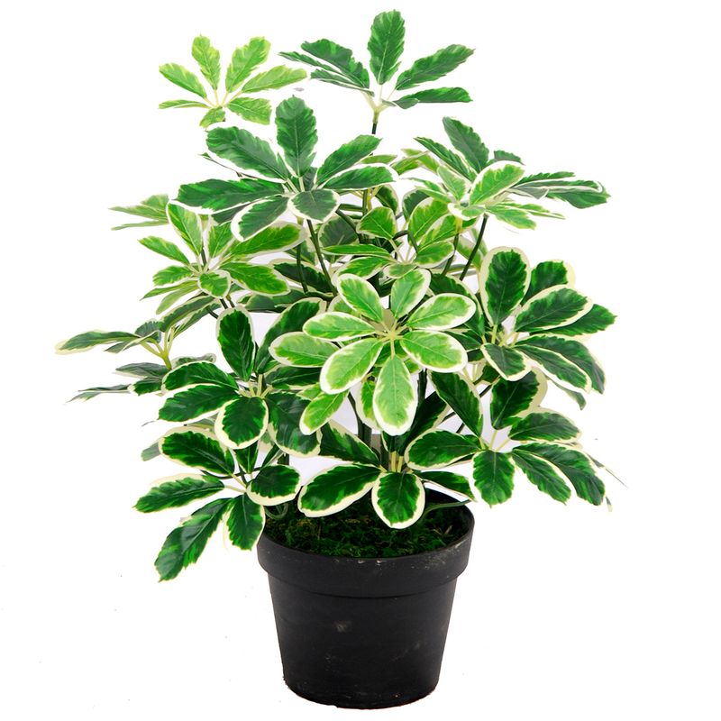 INSPIRACCI - Planta artificial cheflera 55 cm