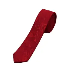 PHILIPPE SALVET - Corbata Microfibra 5 Cm Ameba.