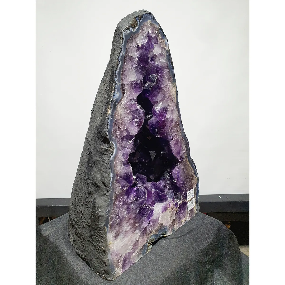 GENERICO - GEODA DRUSA AMATISTA G17