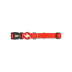 GENERICO - Dashi Solid Red Collar Perro - Medium