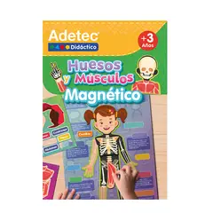 ADETEC - Láminas Magnéticas Interactivas Huesos y Músculos
