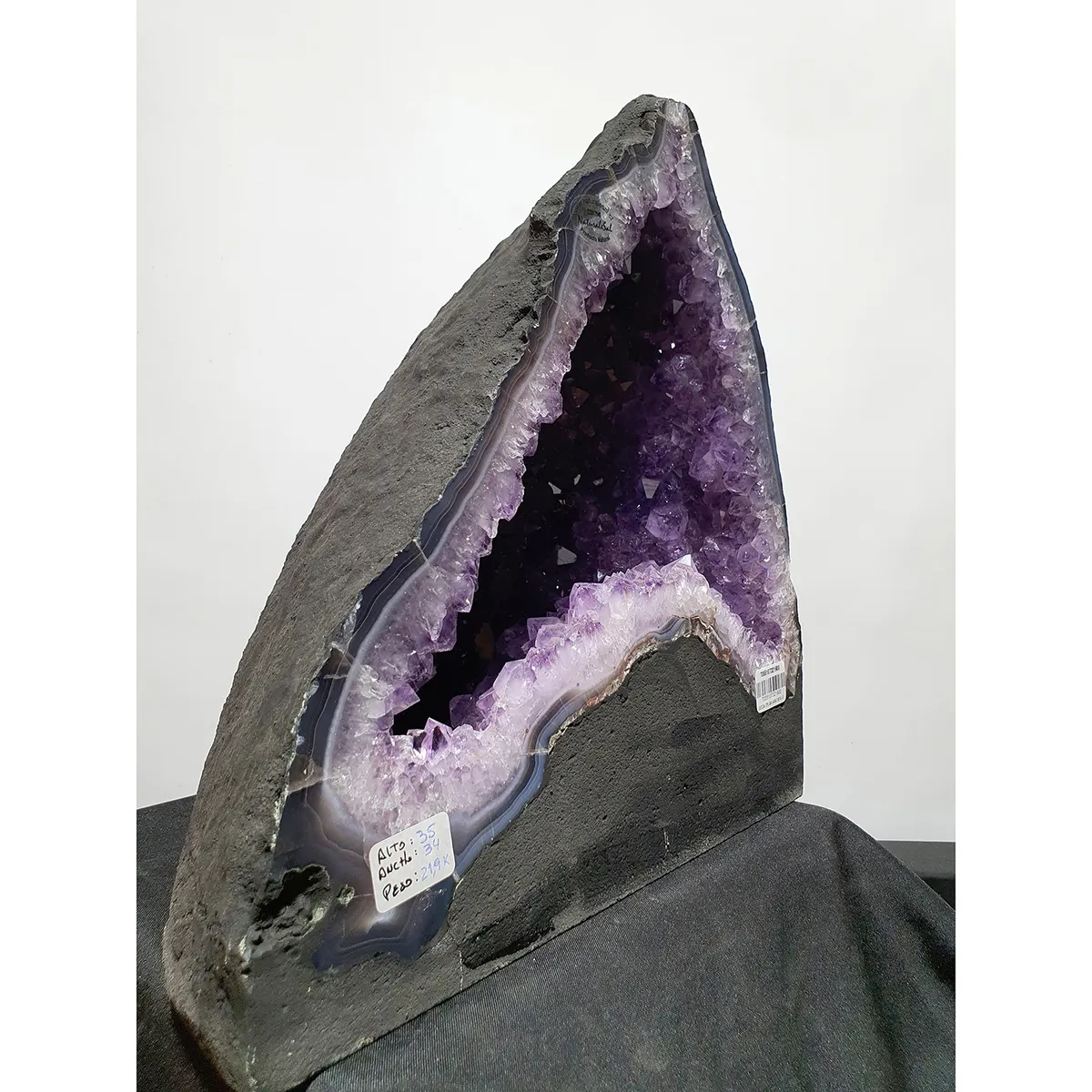 GENERICO - GEODA DRUSA AMATISTA G44