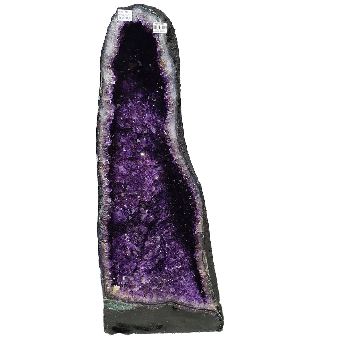 GENERICO - GEODA DRUSA AMATISTA G50K