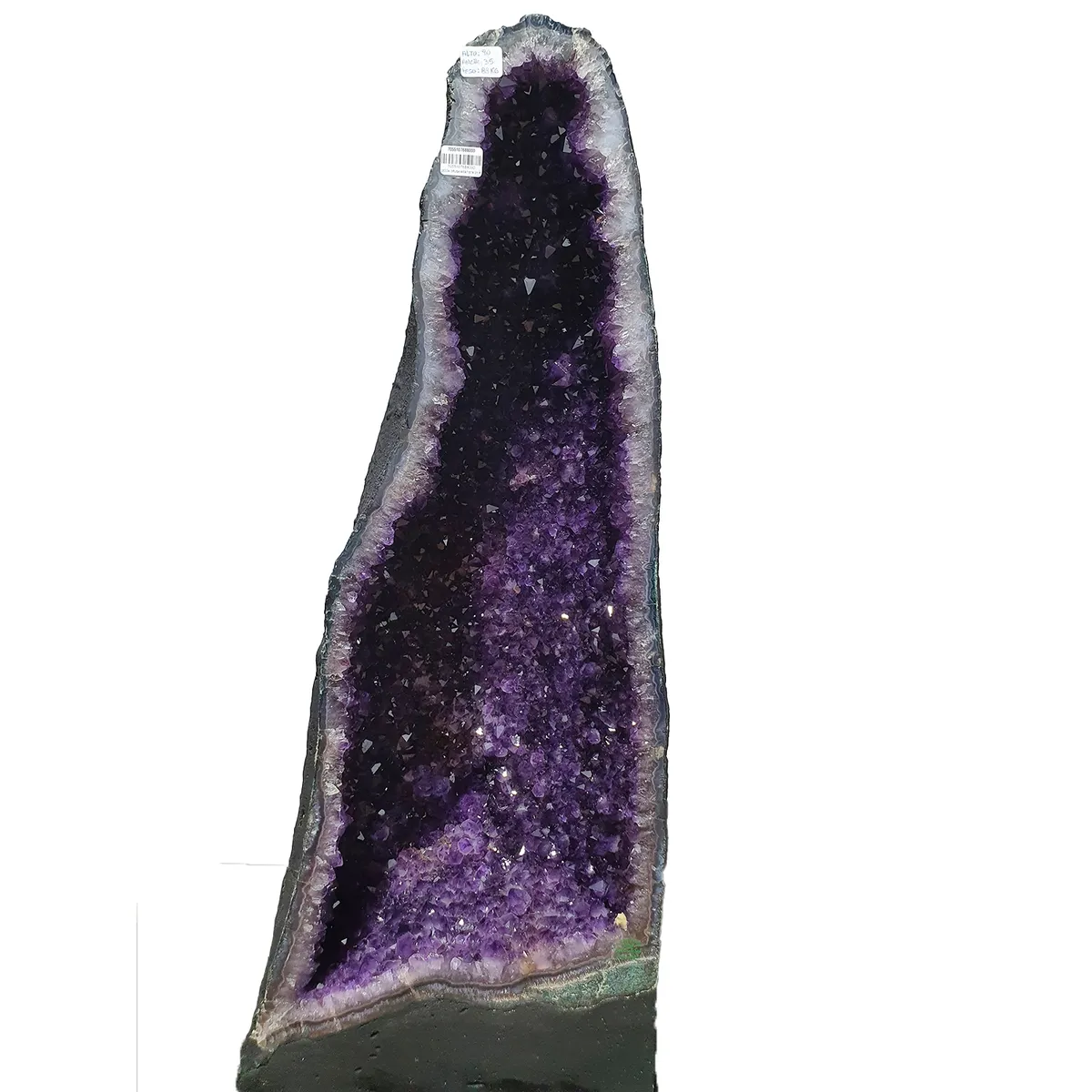 GENERICO - GEODA DRUSA AMATISTA G51K