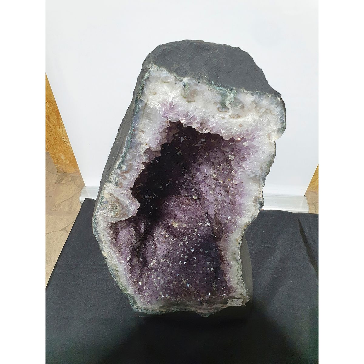 GENERICO - GEODA DRUSA AMATISTA G52